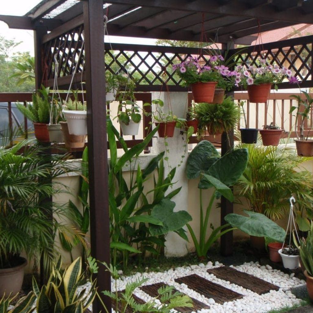 Detail Kebun Rumah Minimalis Nomer 41