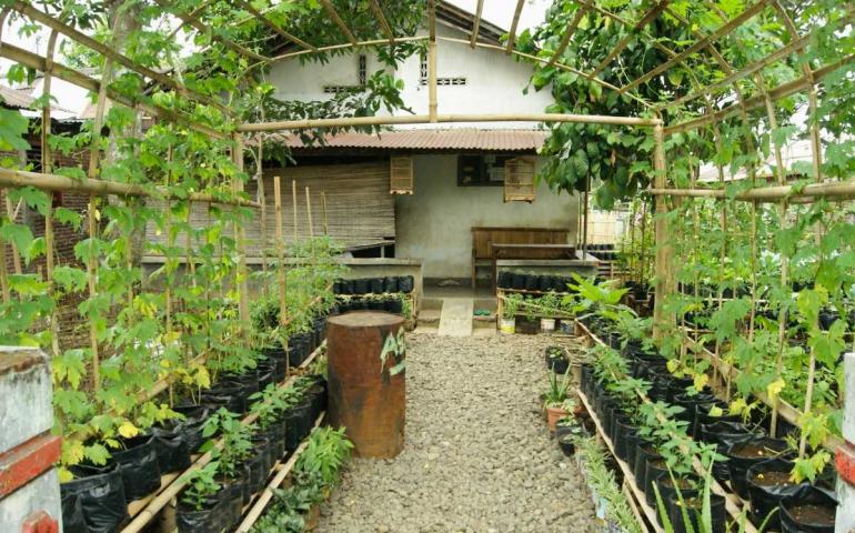 Detail Kebun Samping Rumah Nomer 18