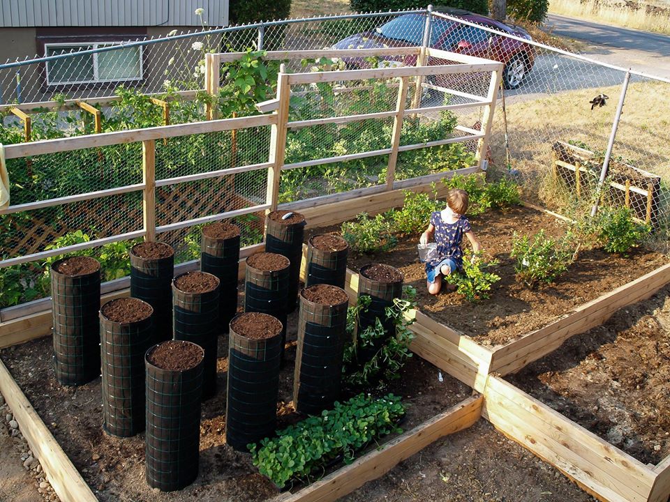 Detail Kebun Sayur Belakang Rumah Nomer 38