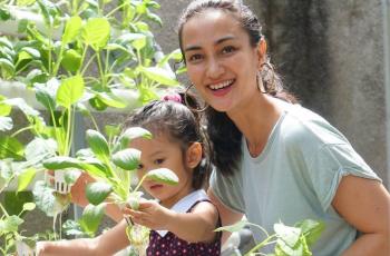 Detail Kebun Sayur Di Rumah Nomer 24