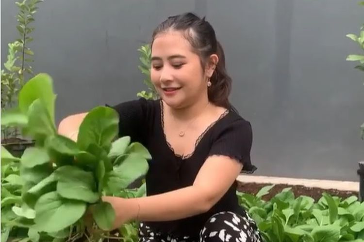 Detail Kebun Sayur Di Rumah Nomer 31