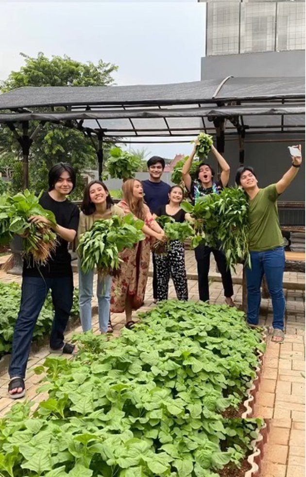 Detail Kebun Sayur Di Rumah Nomer 41