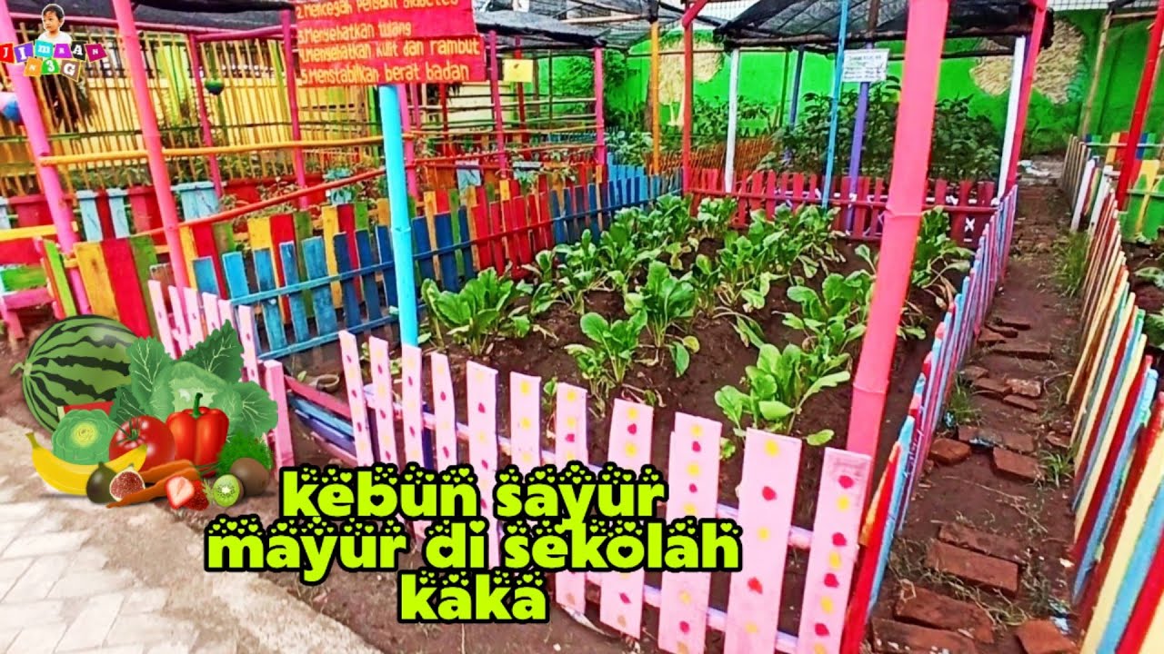 Detail Kebun Sayur Mayur Nomer 56