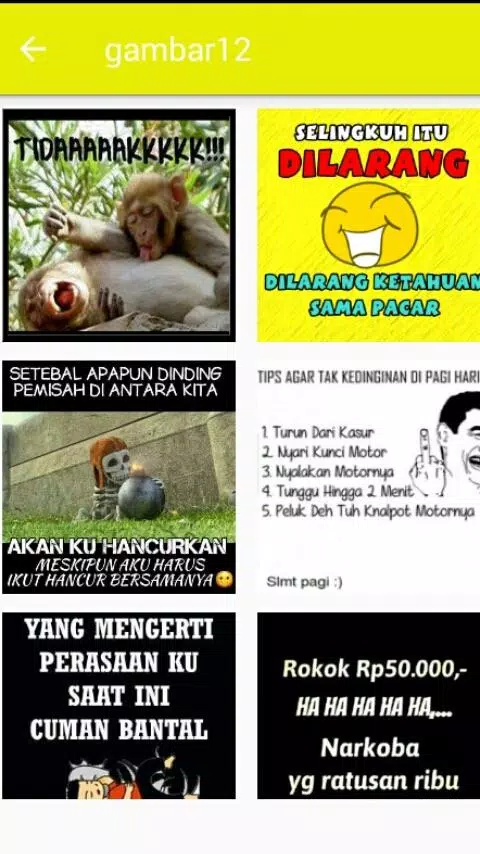 Detail Kedinginan Lucu Nomer 26