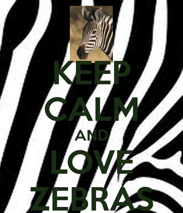 Detail Keep Calm And Love Zebras Nomer 31