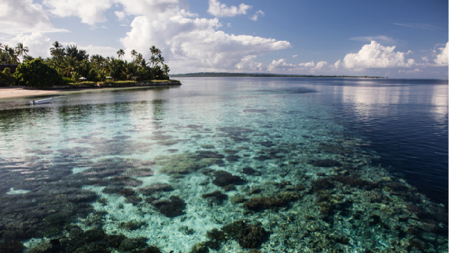 Detail Keindahan Laut Indonesia Nomer 41