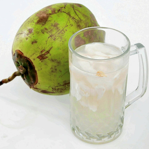 Detail Kelapa Ijo Png Nomer 26