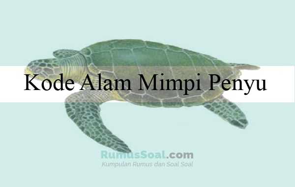 Detail Buku Mimpi Penyu Nomer 5