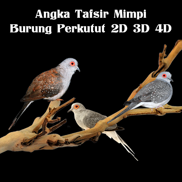 Detail Buku Mimpi Perkutut Nomer 23