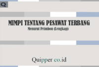 Detail Buku Mimpi Pesawat Mainan Nomer 3