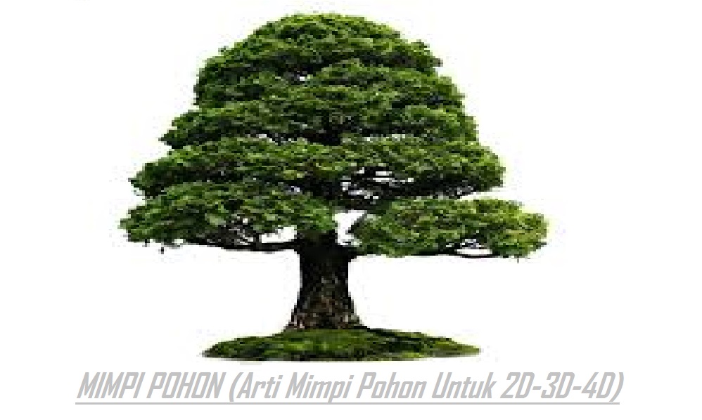 Detail Buku Mimpi Pohon Kelapa 4d Nomer 23