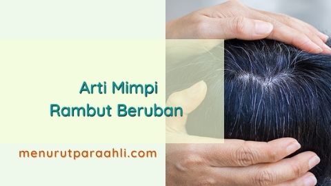 Detail Buku Mimpi Rambut Beruban Nomer 19