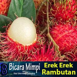 Buku Mimpi Togel 2 Angka Buah Rambutan - KibrisPDR