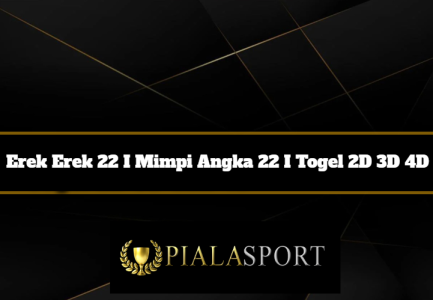 Detail Buku Mimpi Togel 22 Nomer 30