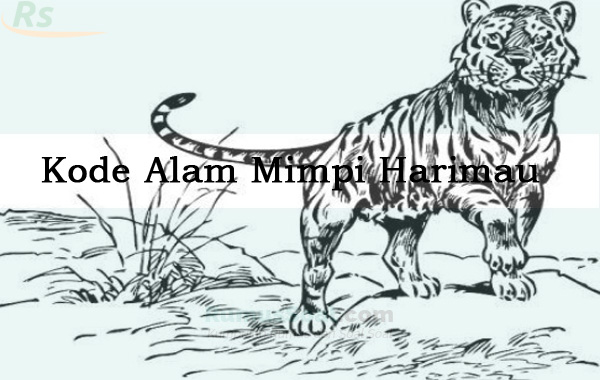 Detail Buku Mimpi Togel 2d Harimau Nomer 2