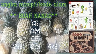 Detail Buku Mimpi Togel 2d Nanas Nomer 24