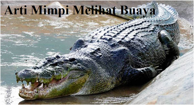 Detail Buku Mimpi Togel 4d Buaya Nomer 31