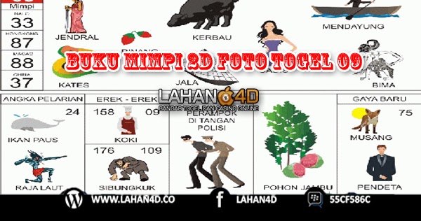 Detail Buku Mimpi Togel 4d Tsunami Nomer 25