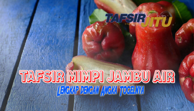 Detail Buku Mimpi Togel Jambu Air Nomer 49