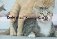 Detail Buku Mimpi Togel Kucing Kawin Nomer 21