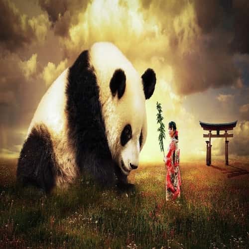 Detail Buku Mimpi Togel Panda Nomer 11