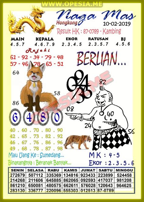 Detail Buku Mimpi Togel Selang Nomer 43