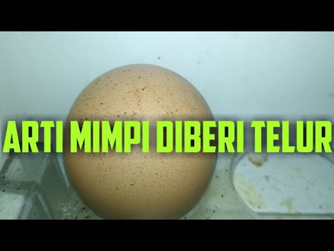 Detail Buku Mimpi Togel Telur Ayam Nomer 47