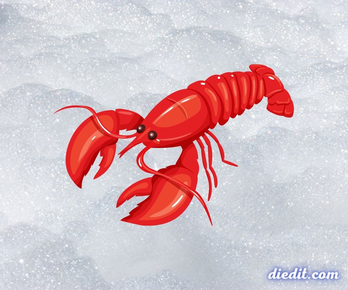 Detail Buku Mimpi Udang Lobster Nomer 11