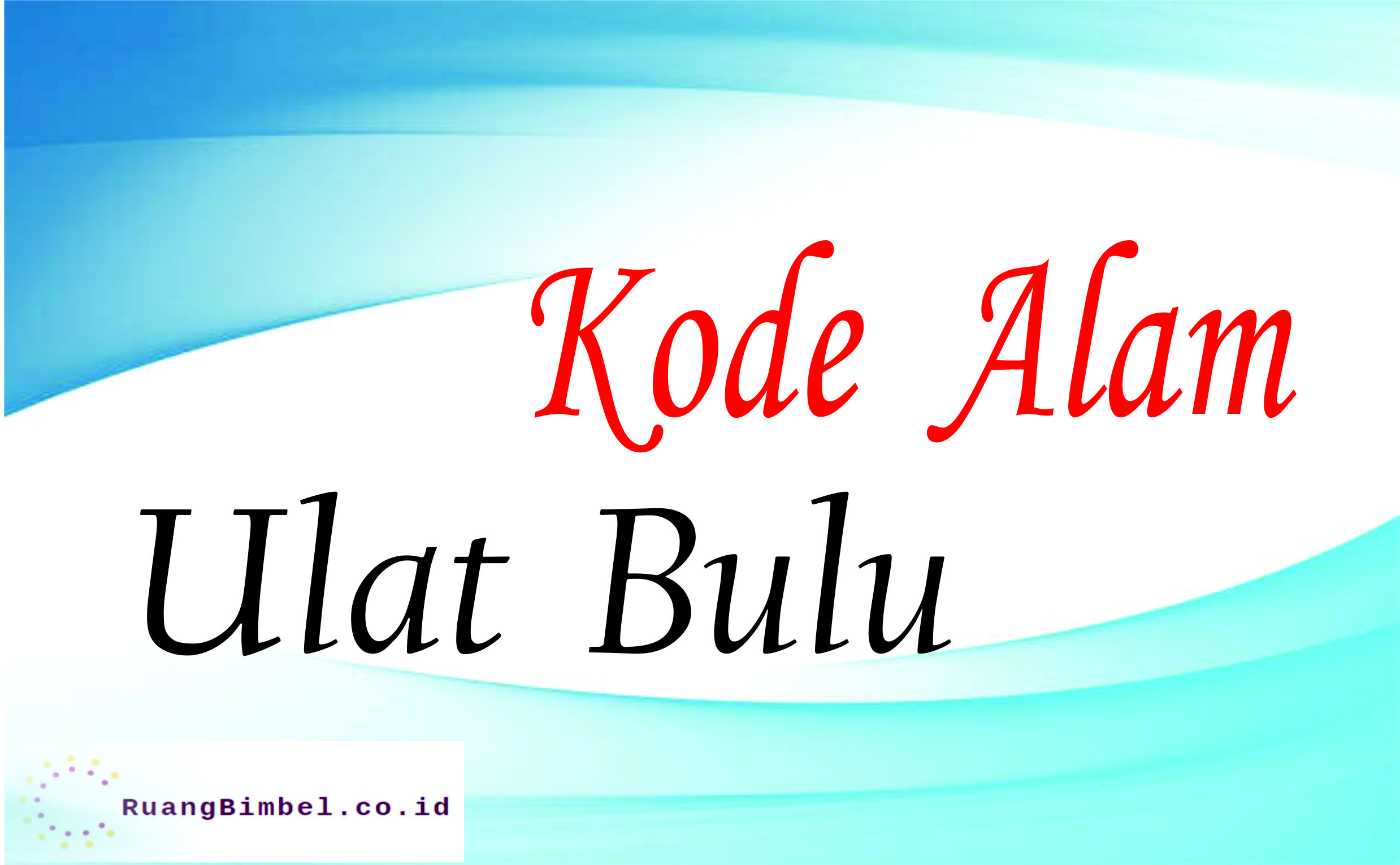 Detail Buku Mimpi Ulat Bulu 3d Nomer 28