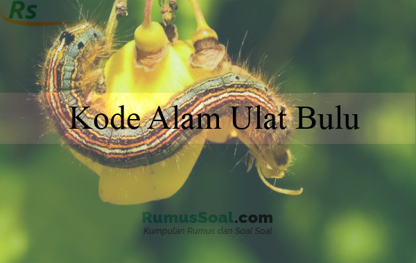 Detail Buku Mimpi Ulat Bulu 3d Nomer 7