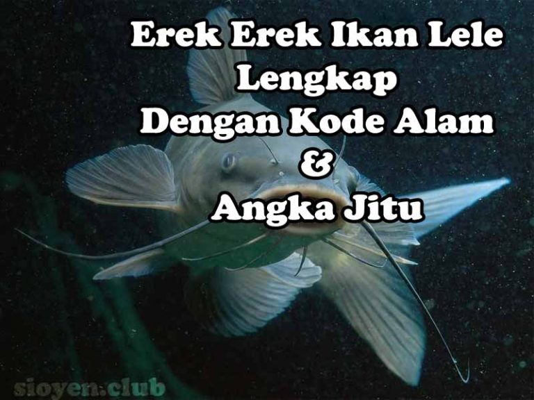 Detail Buku Seribu Mimpi Ikan Lele Nomer 26