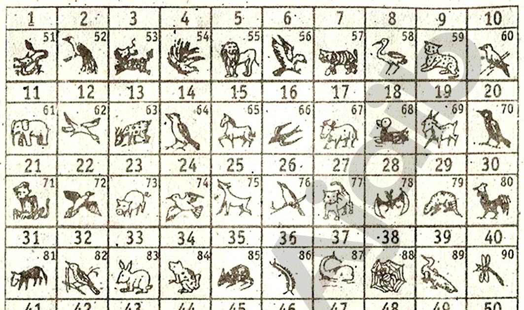 Detail Buku Tafsir Mimpi 2d Lipan Nomer 11