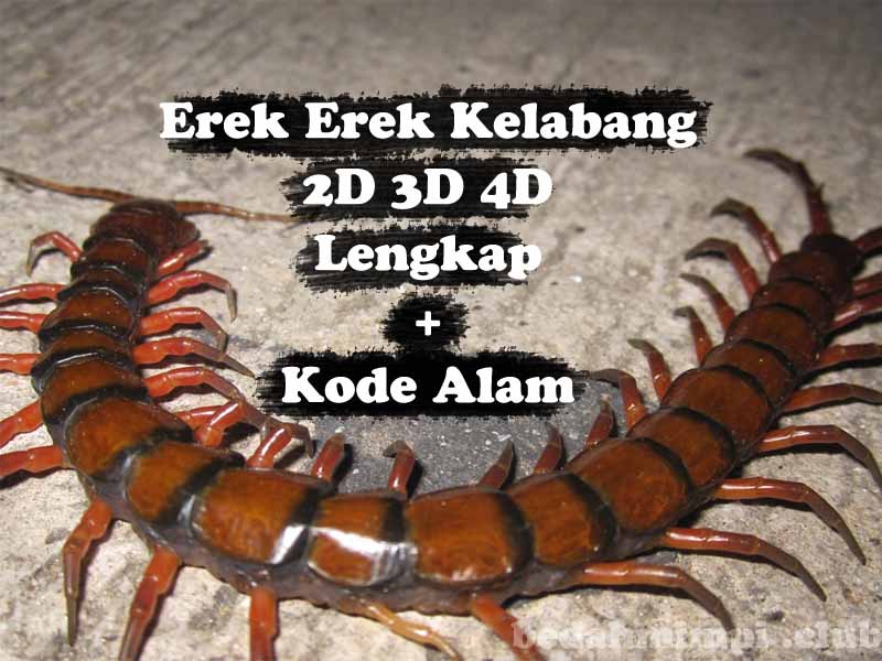 Detail Buku Tafsir Mimpi 2d Lipan Nomer 34