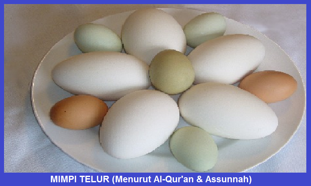 Detail Gambar Telur Di Buku Mimpi Nomer 24