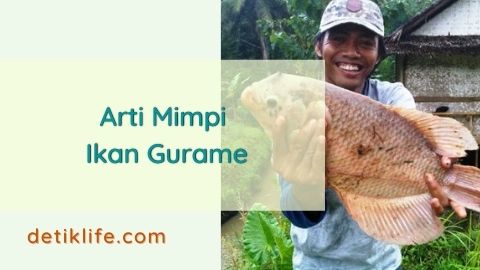 Detail Ikan Gurami Dalam Buku Mimpi Nomer 16