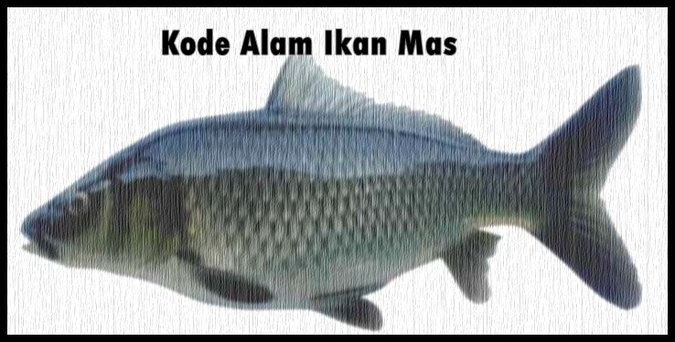 Detail Ikan Mas Buku Mimpi Nomer 33