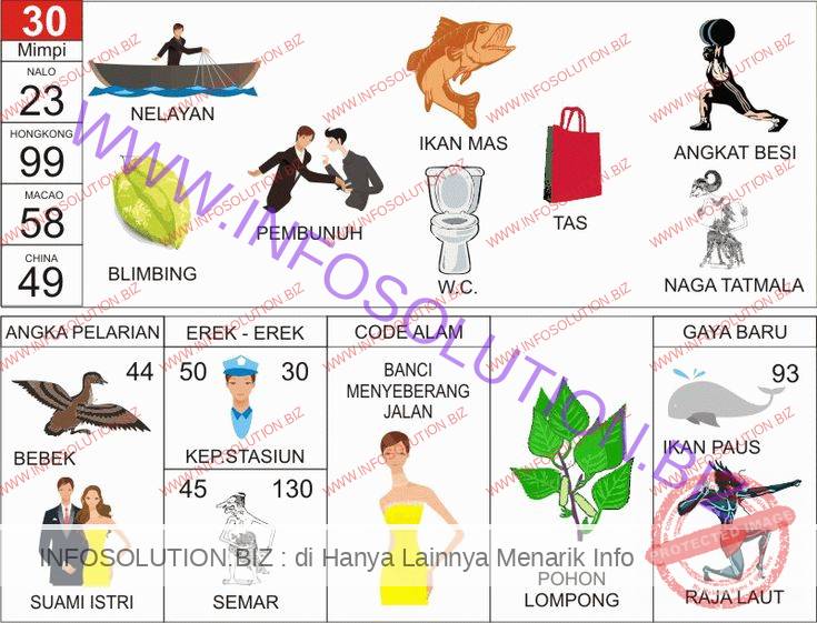 Detail Ikan Pari Buku Mimpi Gambar Nomer 7