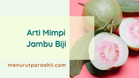 Detail Jambu Biji Buku Mimpi Nomer 33