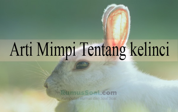 Detail Kelinci Buku Mimpi Nomer 34