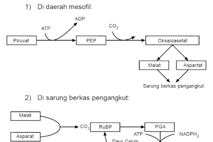 Detail Kim Liong Buku Mimpi Nomer 26