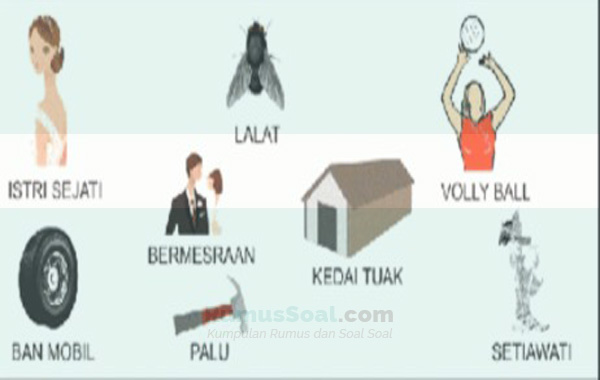 Detail Lalat Buku Mimpi 2d Nomer 4