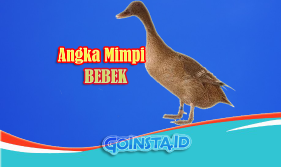 Detail Mimpi 3 Bebek Buku Mimpi Nomer 41