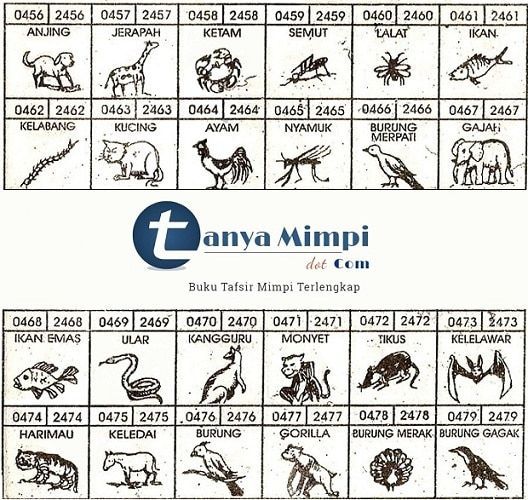 Detail Mimpi Berak Di Celana 4d Buku Mimpi Nomer 3