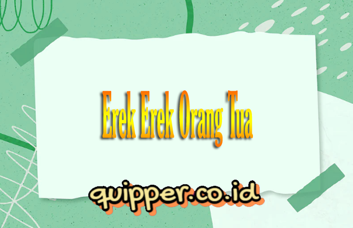 Detail Orang Tua Buku Mimpi 3d Nomer 30