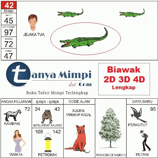 Detail Orang Tua Buku Mimpi 3d Nomer 45