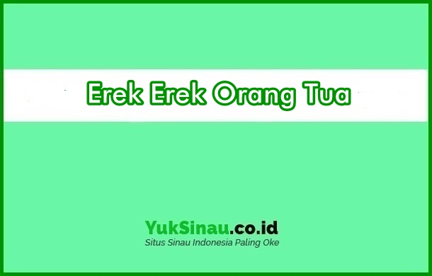 Detail Orang Tua Buku Mimpi 3d Nomer 8