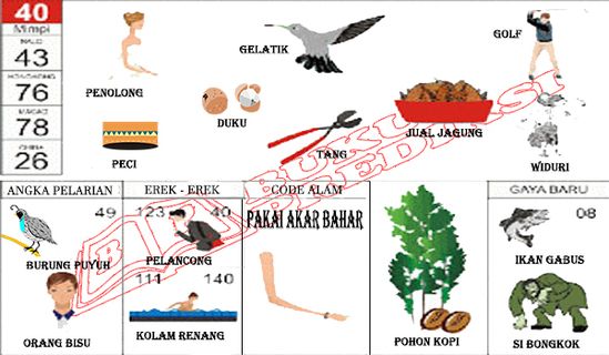 Detail Renang Buku Mimpi Nomer 36