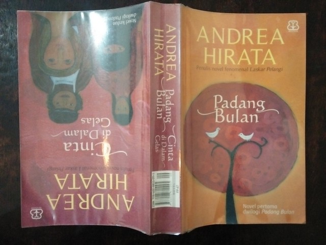 Detail Resensi Buku Mimpi Mimpi Lintang Nomer 50