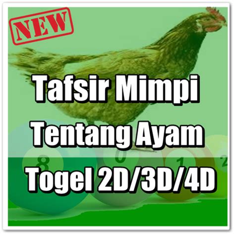 Detail Shio Ayam Jantan Dalam Buku Tafsir Mimpi Nomer 16