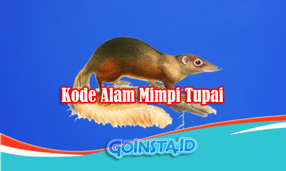 Detail Tupai Buku Mimpi 3d Nomer 43